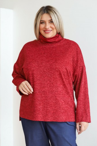 Фото: Водолазка 1333: Цвет красный